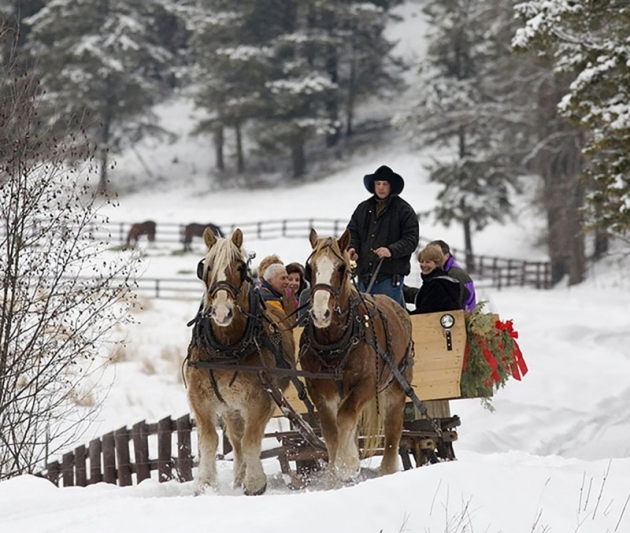 sleigh ride